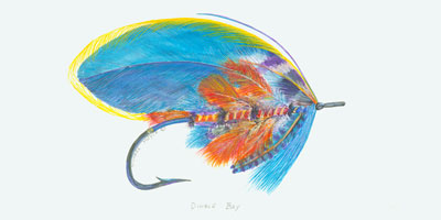 Dingle Bay Fly Fish