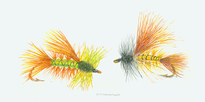 Stimulators Fly Fish
