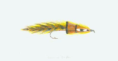 Dumaine's Big Ben Fly Fish