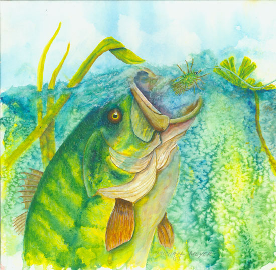 Gulping a Fuzzy Bug Fly Fish