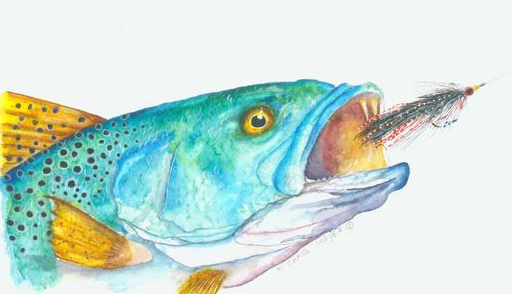 Spotted Sea Trout Fly Fish
