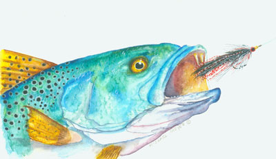 Spotted Sea Trout Fly Fish